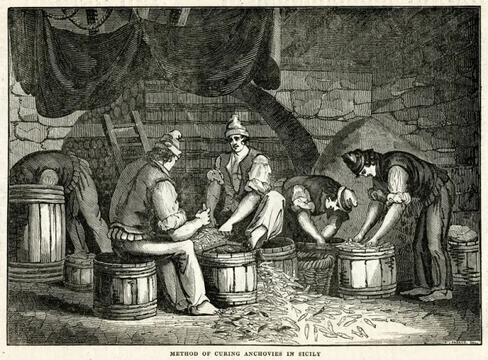 Framed Print : Method of curing anchovies in Sicily 1834 Framed Print : Method of curing anchovies in Sicily 1834