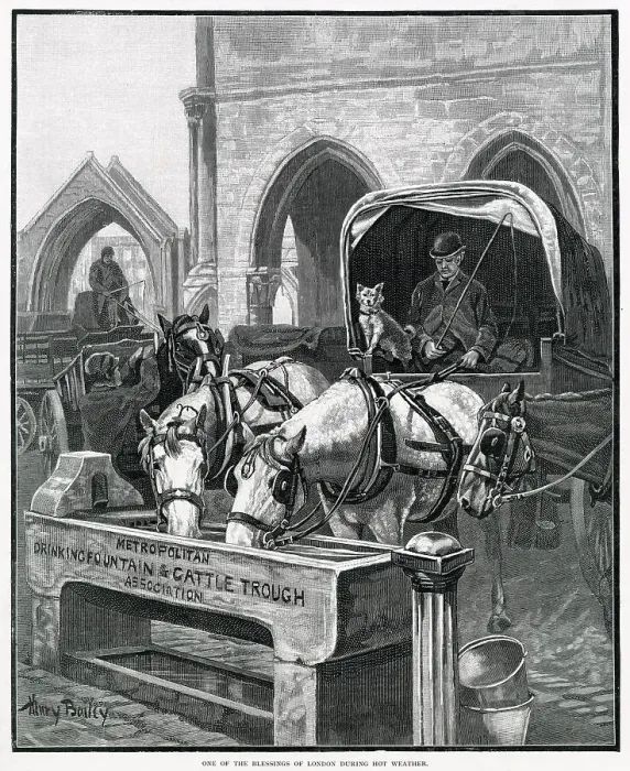 Framed Print : Metropolitan Drinking Fountain & Cattle Trough 1895 Framed Print : Metropolitan Drinking Fountain & Cattle Trough 1895