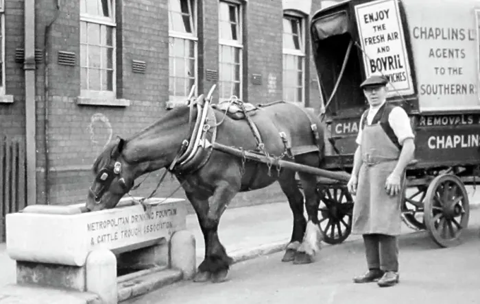 Framed Print : Metropolitan Drinking Fountain & Cattle Trough Assoc. trough Framed Print : Metropolitan Drinking Fountain & Cattle Trough Assoc. trough