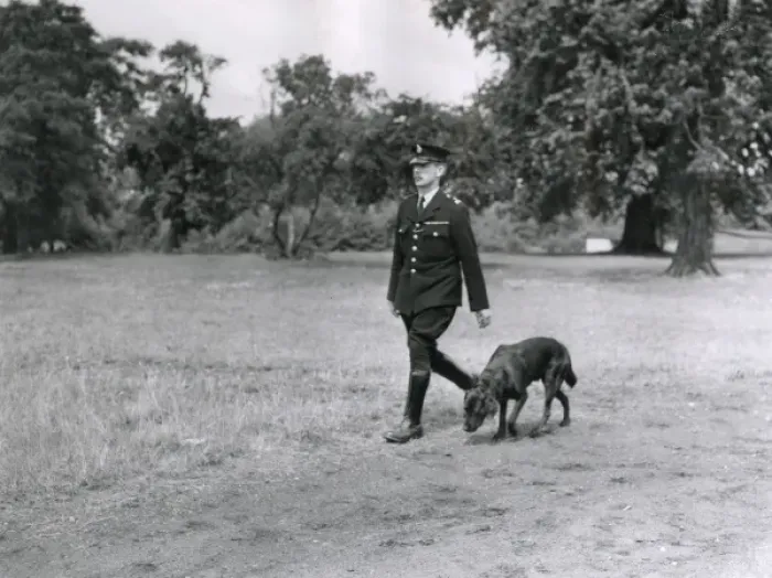 Framed Print : Metropolitan police dog handler with a dog in a field Framed Print : Metropolitan police dog handler with a dog in a field