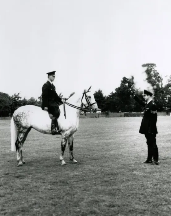 Framed Print : Metropolitan Police officer on horseback in a field Framed Print : Metropolitan Police officer on horseback in a field