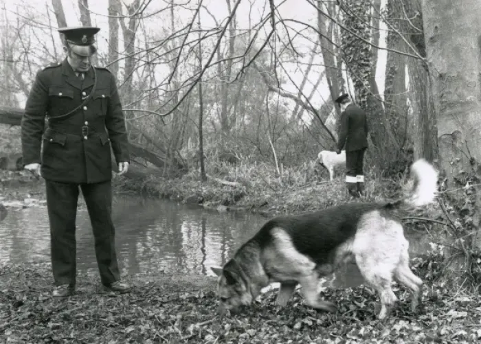 Framed Print : Two Metropolitan police officers with dogs in a wood Framed Print : Two Metropolitan police officers with dogs in a wood