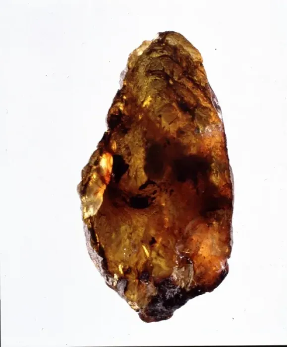Framed Print : Mexican amber Framed Print : Mexican amber