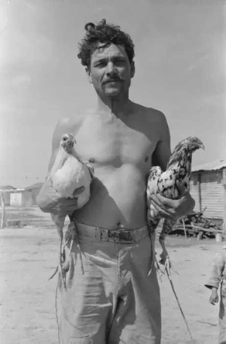 Framed Print : Mexican with his two fighting cocks, Crystal City, Texas Framed Print : Mexican with his two fighting cocks, Crystal City, Texas