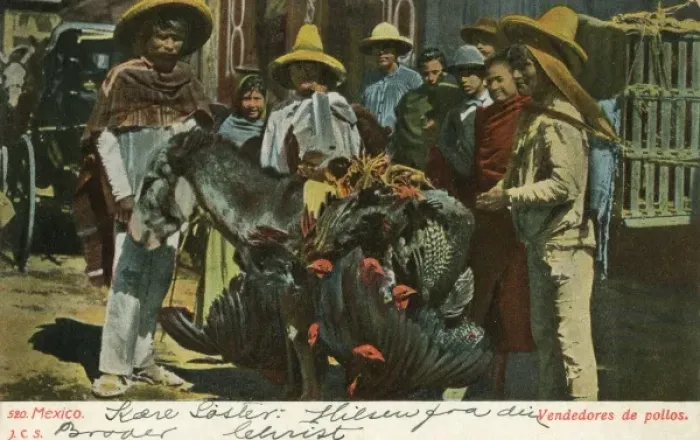 Framed Print : Mexican Turkey Seller Framed Print : Mexican Turkey Seller