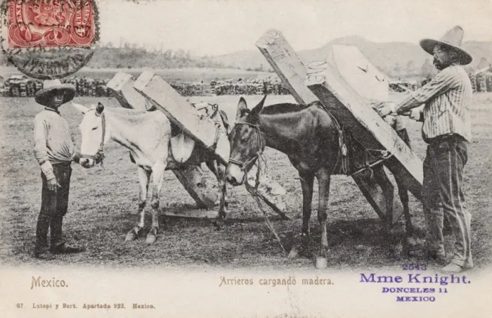 Framed Print : Mexico - Carriers loading wood Framed Print : Mexico - Carriers loading wood