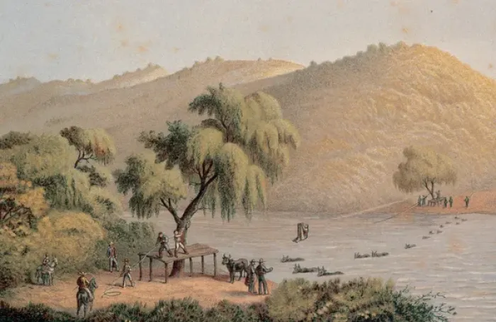 Framed Print : Mexico. Cattle crossing the San Marcos River Framed Print : Mexico. Cattle crossing the San Marcos River