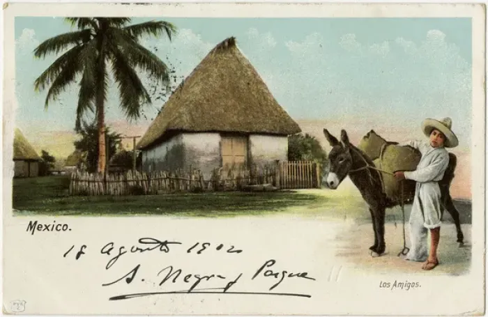 Framed Print : Mexico - Indigenous Village Scene - Young boy and his donkey Framed Print : Mexico - Indigenous Village Scene - Young boy and his donkey