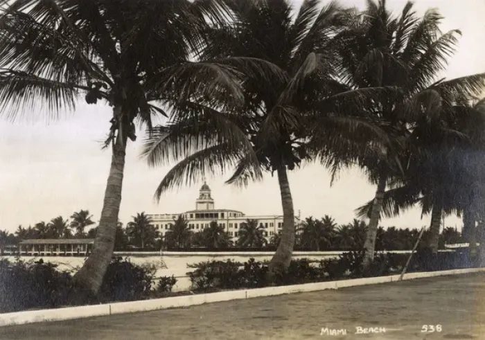 Framed Print : Miami Beach with palm trees, Florida, USA Framed Print : Miami Beach with palm trees, Florida, USA