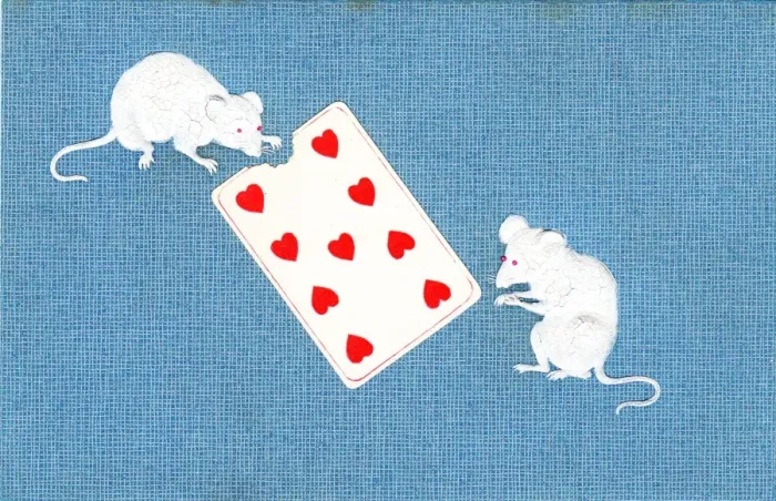 Framed Print : Two mice eating a playing card on a postcard Framed Print : Two mice eating a playing card on a postcard