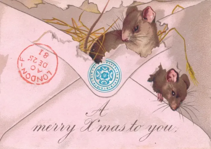 Framed Print : Two mice in an envelope on a Christmas card Framed Print : Two mice in an envelope on a Christmas card