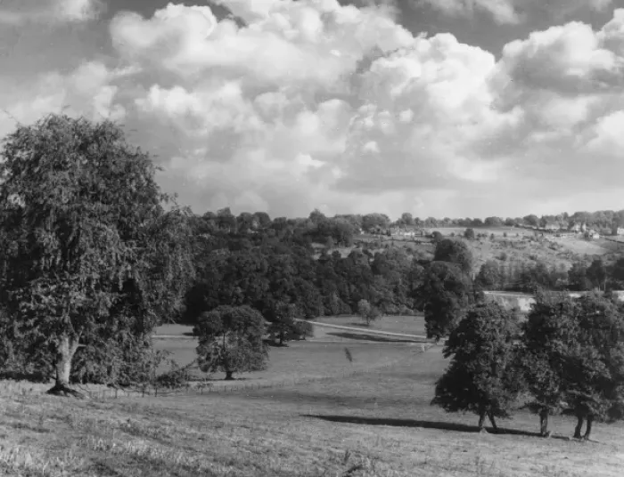 Framed Print : Mickleham Park Framed Print : Mickleham Park