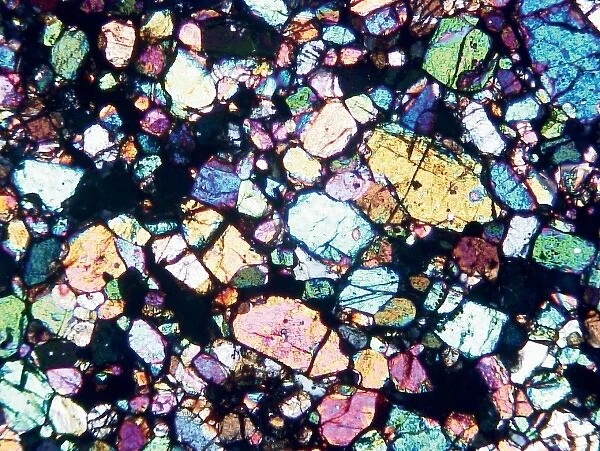 Microscope image of the Brachina meteorite