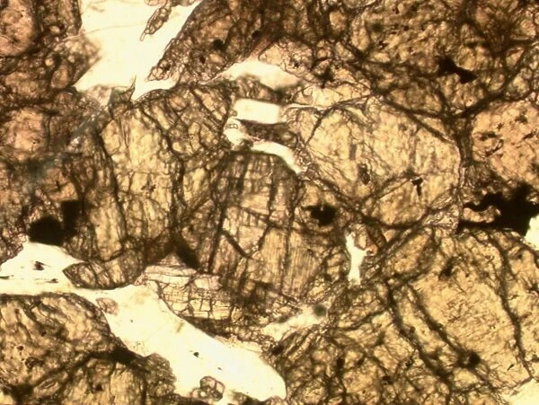 Microscope image of the Zagami shergottite