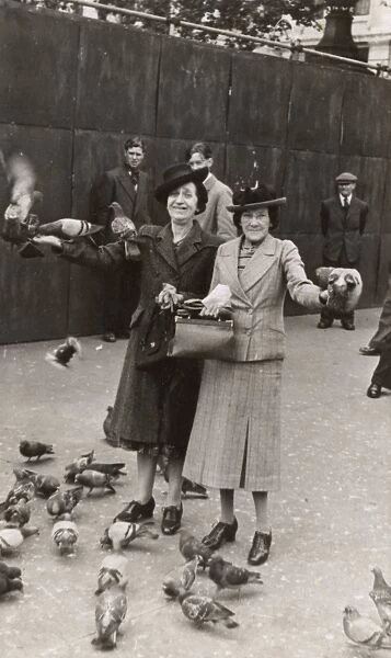 Two middle-aged women with pigeons
