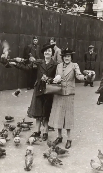Framed Print : Two middle-aged women with pigeons Framed Print : Two middle-aged women with pigeons
