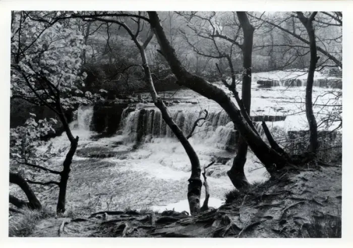 Framed Print : Middle Falls, Aysgarth, Yorkshire Framed Print : Middle Falls, Aysgarth, Yorkshire