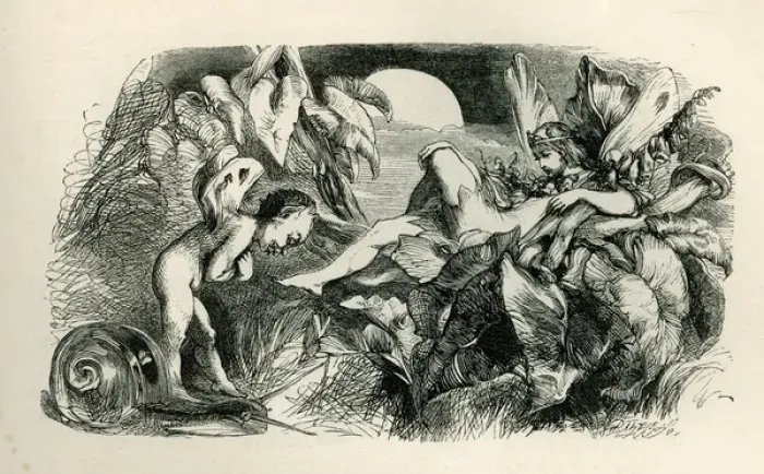 Framed Print : A Midsummer Nights Dream