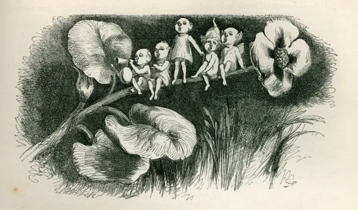 Framed Print : A Midsummer Nights Dream Framed Print : A Midsummer Nights Dream