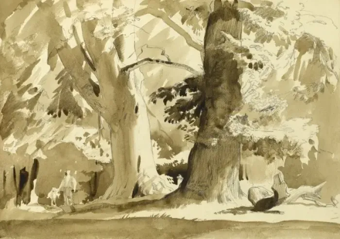 Framed Print : Mighty trees Framed Print : Mighty trees