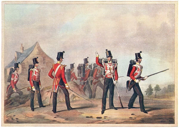 Military. Regiments of Light Infantry (showing the 90th Light Infantry)