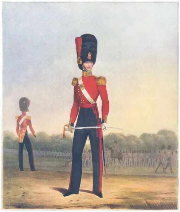 Framed Print : Military. Officer of the Coldstream Guards (winter dress) Framed Print : Military. Officer of the Coldstream Guards (winter dress)
