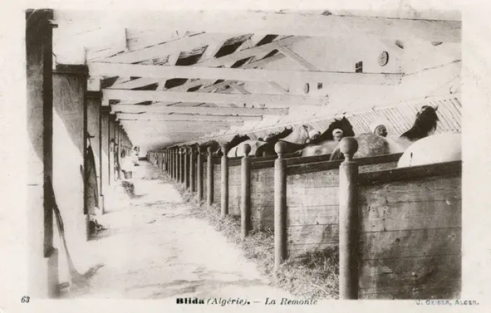 Framed Print : Military stables, Blida, Algeria, North Africa Framed Print : Military stables, Blida, Algeria, North Africa