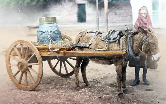 Framed Print : Milk cart, Killarney, Ireland, Victorian period Framed Print : Milk cart, Killarney, Ireland, Victorian period