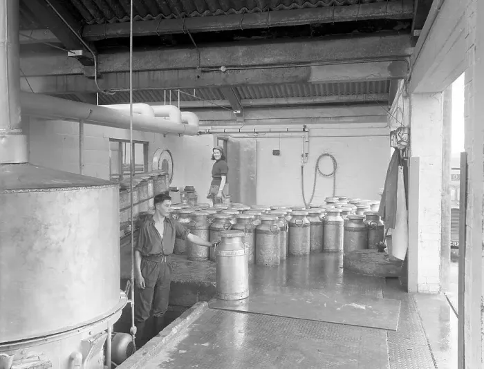 Framed Print : Milk Production in the 1960s: Churn delivery at the dairy Framed Print : Milk Production in the 1960s: Churn delivery at the dairy