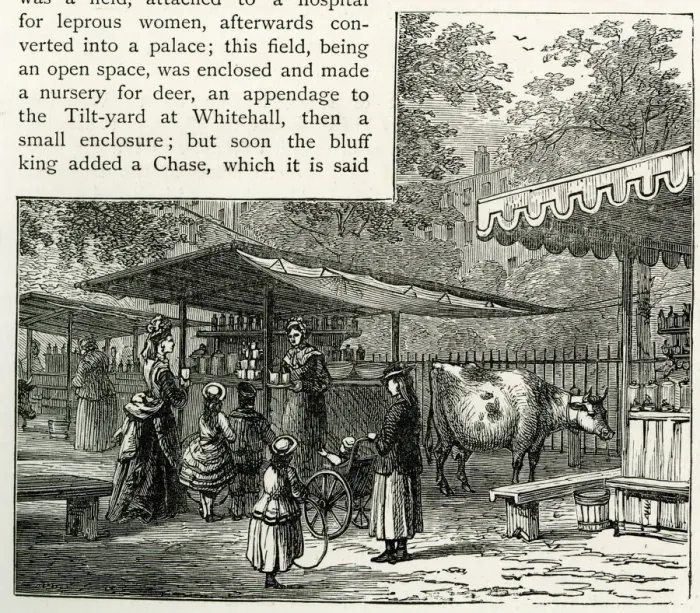 Framed Print : Milk refreshment stall, St Jamess Park, London Framed Print : Milk refreshment stall, St Jamess Park, London