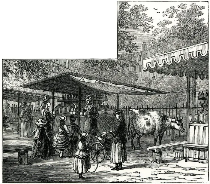 Framed Print : Milk Stalls in St Jamess Park, London Milk Stalls in St Jamess Park, London Framed Print : Milk Stalls in St Jamess Park, London Milk Stalls in St Jamess Park, London
