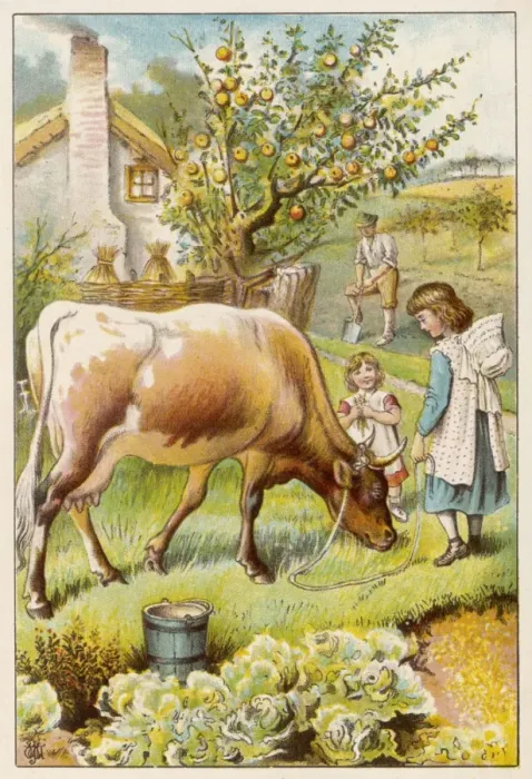 Framed Print : Milking Cow / Children Framed Print : Milking Cow / Children