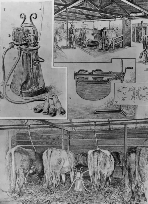 Framed Print : Milking by electricity Framed Print : Milking by electricity