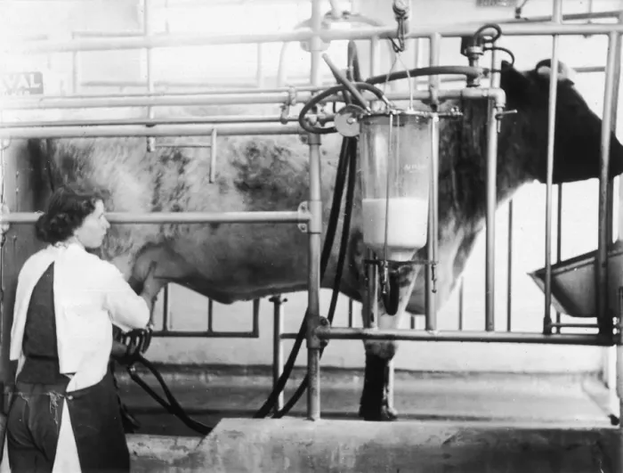 Framed Print : Milking Machine Framed Print : Milking Machine