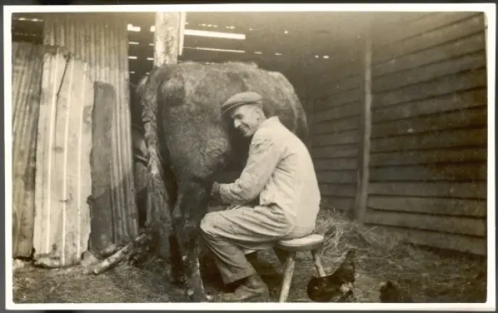 Framed Print : Milking, Photo Framed Print : Milking, Photo