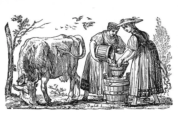 Milkmaids and Cow
