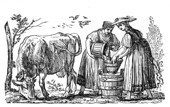 Framed Print : Milkmaids and Cow Framed Print : Milkmaids and Cow