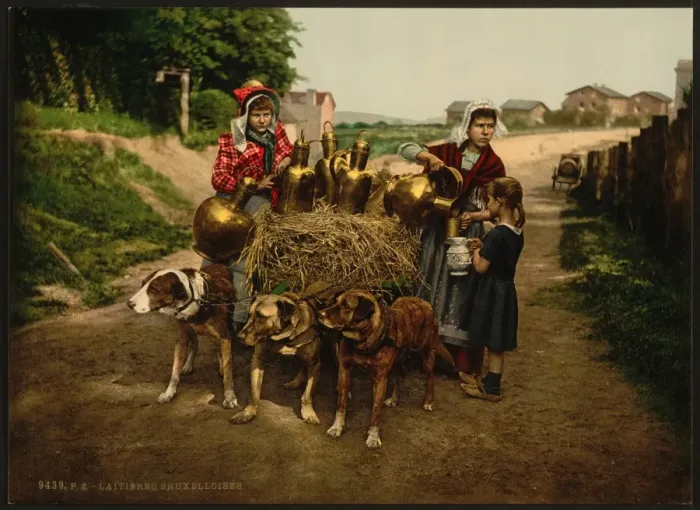 Framed Print : Milksellers, Brussels, Belgium Framed Print : Milksellers, Brussels, Belgium