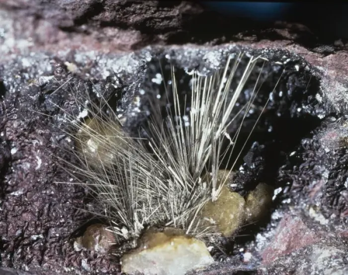 Framed Print : Millerite comprises of (nickel sulphide) and is characterized by hair-like Framed Print : Millerite comprises of (nickel sulphide) and is characterized by hair-like