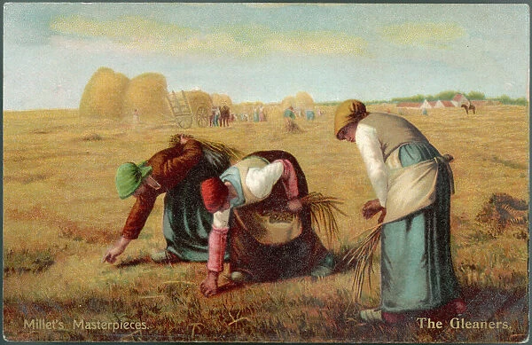 Millet Gleaners. Glaneurs gleaning the corn field after the crop has been stored