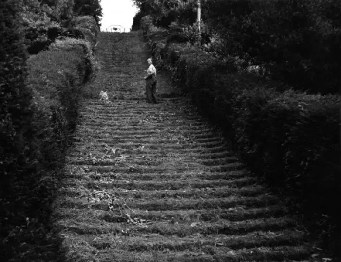 Framed Print : Milton Abbey Turf Steps Framed Print : Milton Abbey Turf Steps