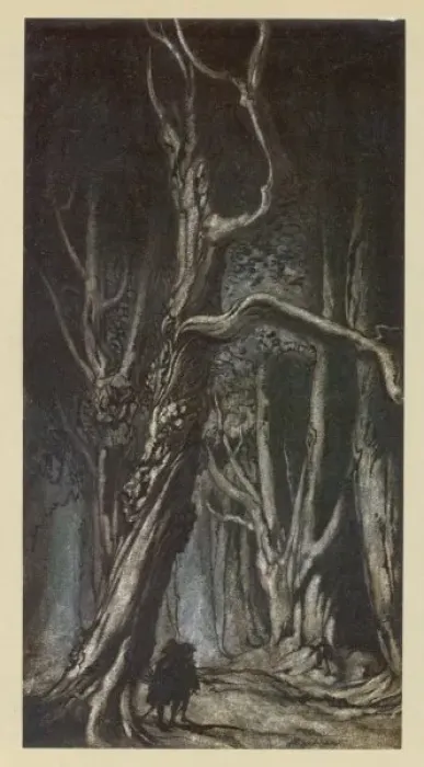 Framed Print : Miltons Comus / Rackham Framed Print : Miltons Comus / Rackham