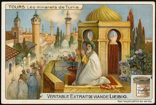 Minarets at Tunis