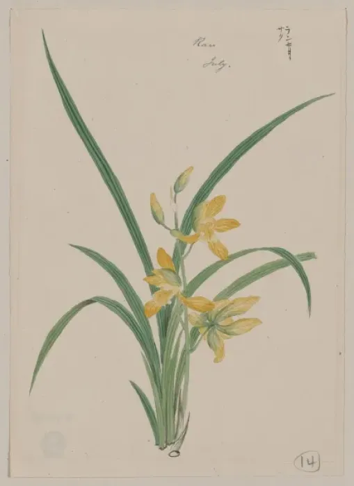 Framed Print : Mirau - March Framed Print : Mirau - March