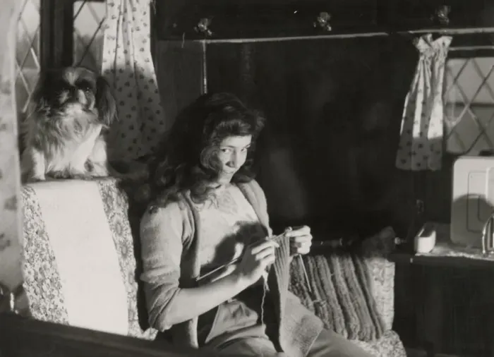 Framed Print : A mischievous-looking girl, caught on camera knitting in an armchair in her cottage Framed Print : A mischievous-looking girl, caught on camera knitting in an armchair in her cottage