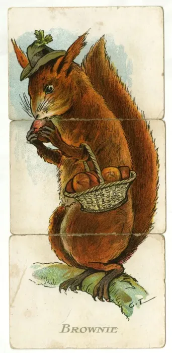 Framed Print : Misfitz - Brownie Framed Print : Misfitz - Brownie