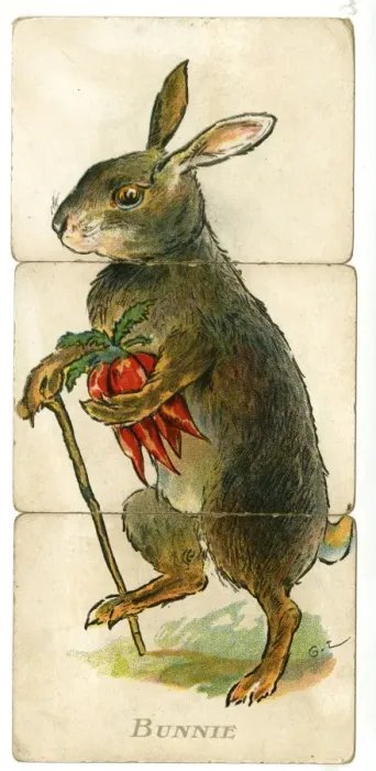 Framed Print : Misfitz - Bunnie