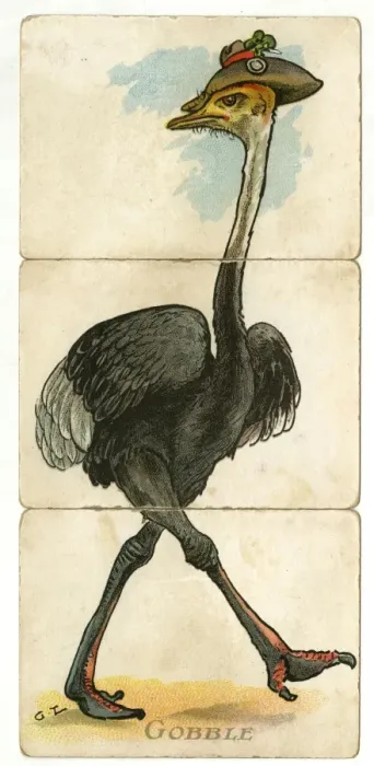 Framed Print : Misfitz - Gobble Framed Print : Misfitz - Gobble