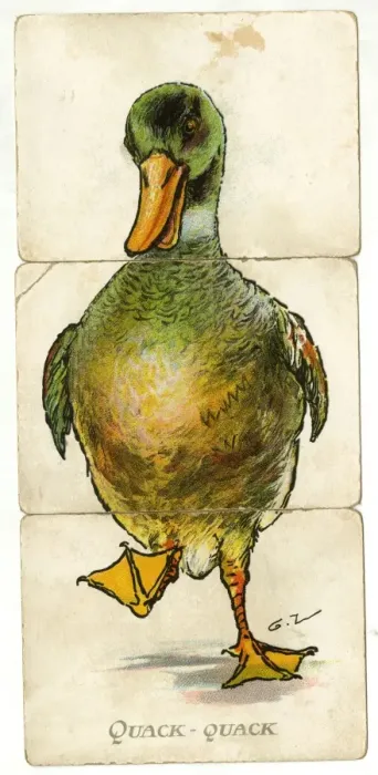 Framed Print : Misfitz - Quack-Quack Framed Print : Misfitz - Quack-Quack