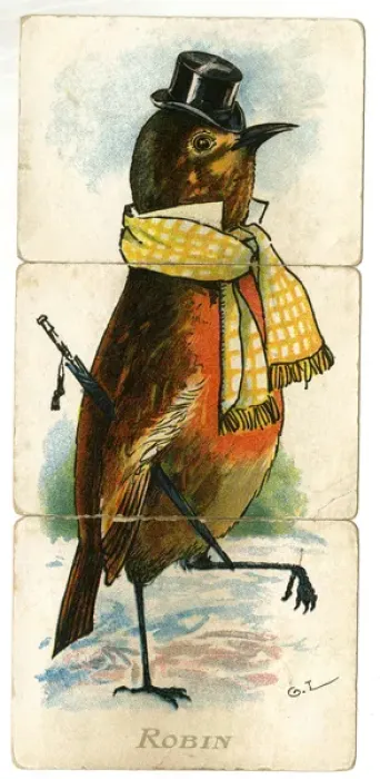 Framed Print : Misfitz - Robin Framed Print : Misfitz - Robin